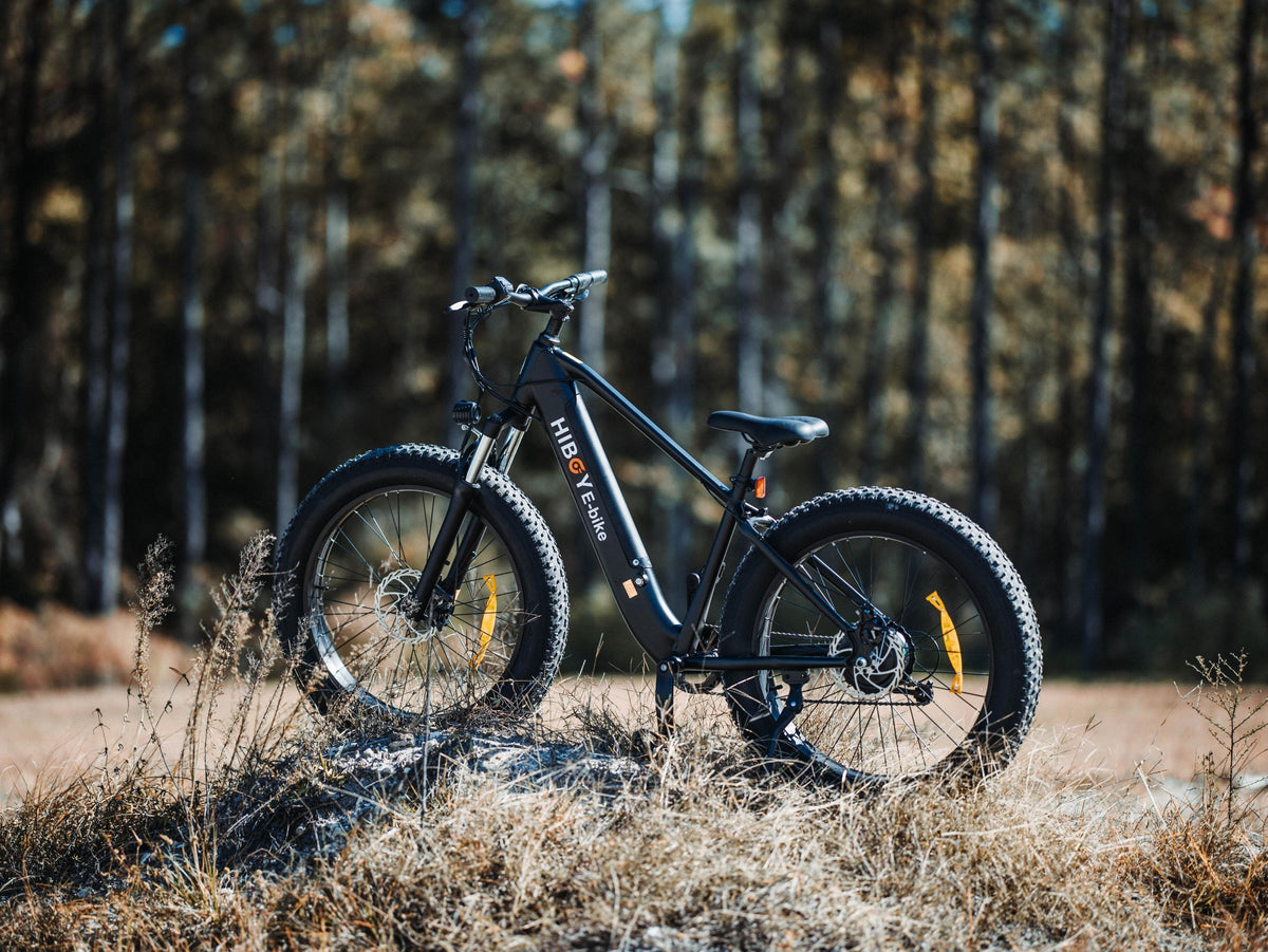 How to Maximize Your eBike’s Range: 12 Proven Ways to Ride Farther
