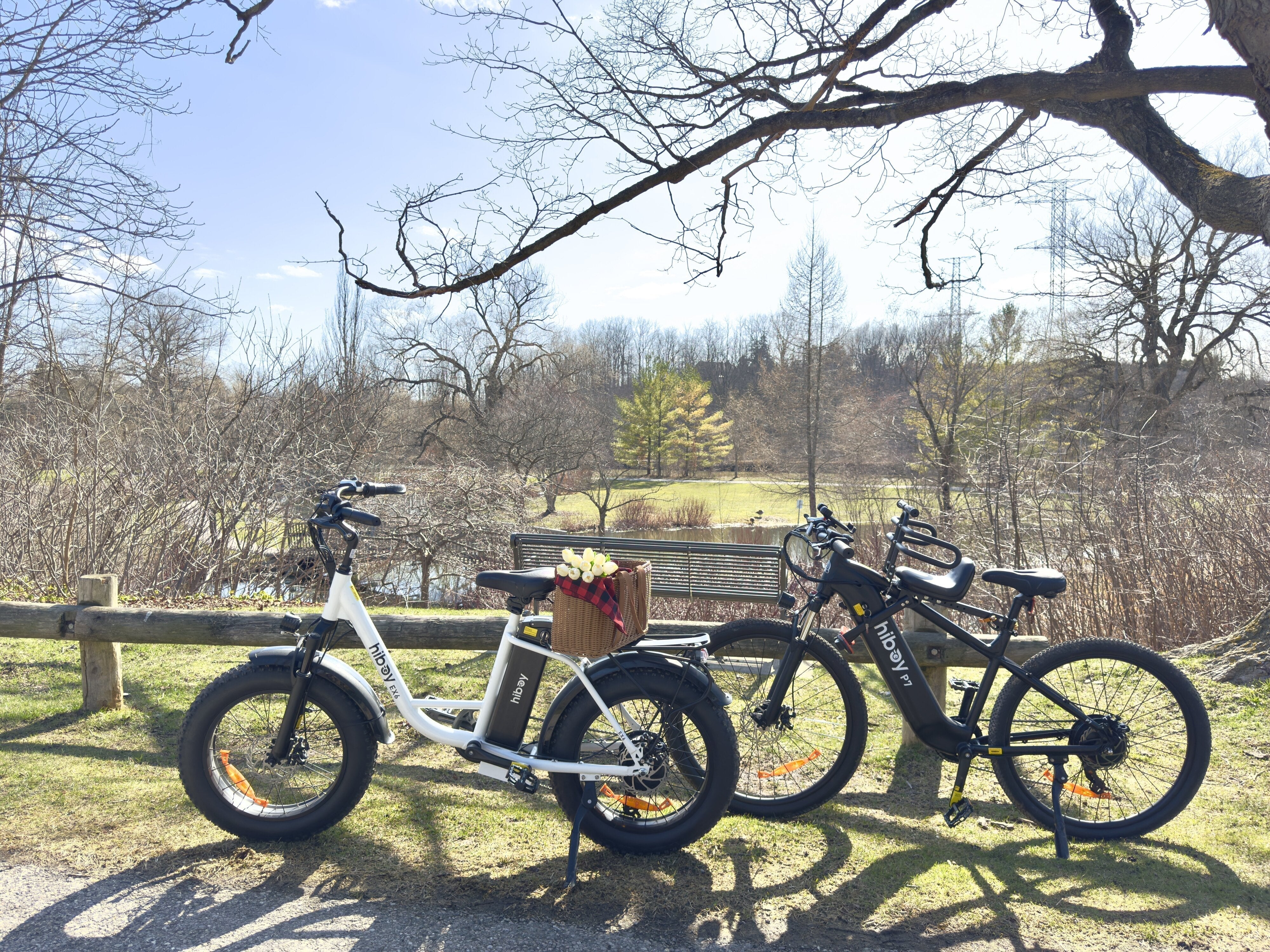 Step-Through vs. Step-Over eBike: Pros, Cons, and Which Frame Fits Your Riding Style