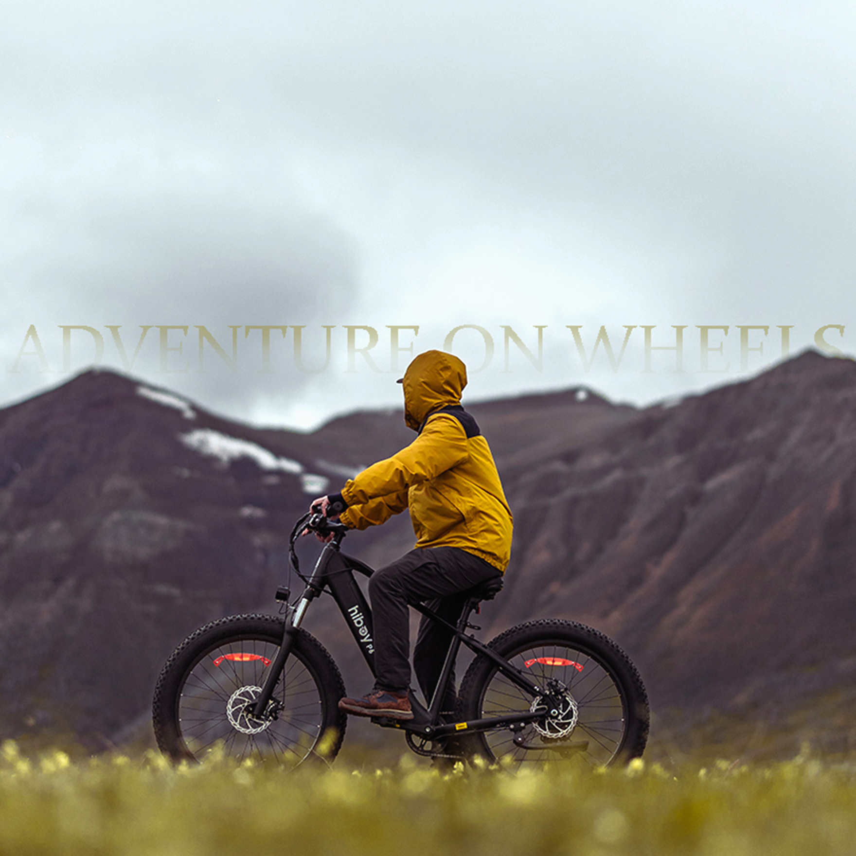 Hiboy P6 Fat Tire Electric Bike for Urban Country Road 2024