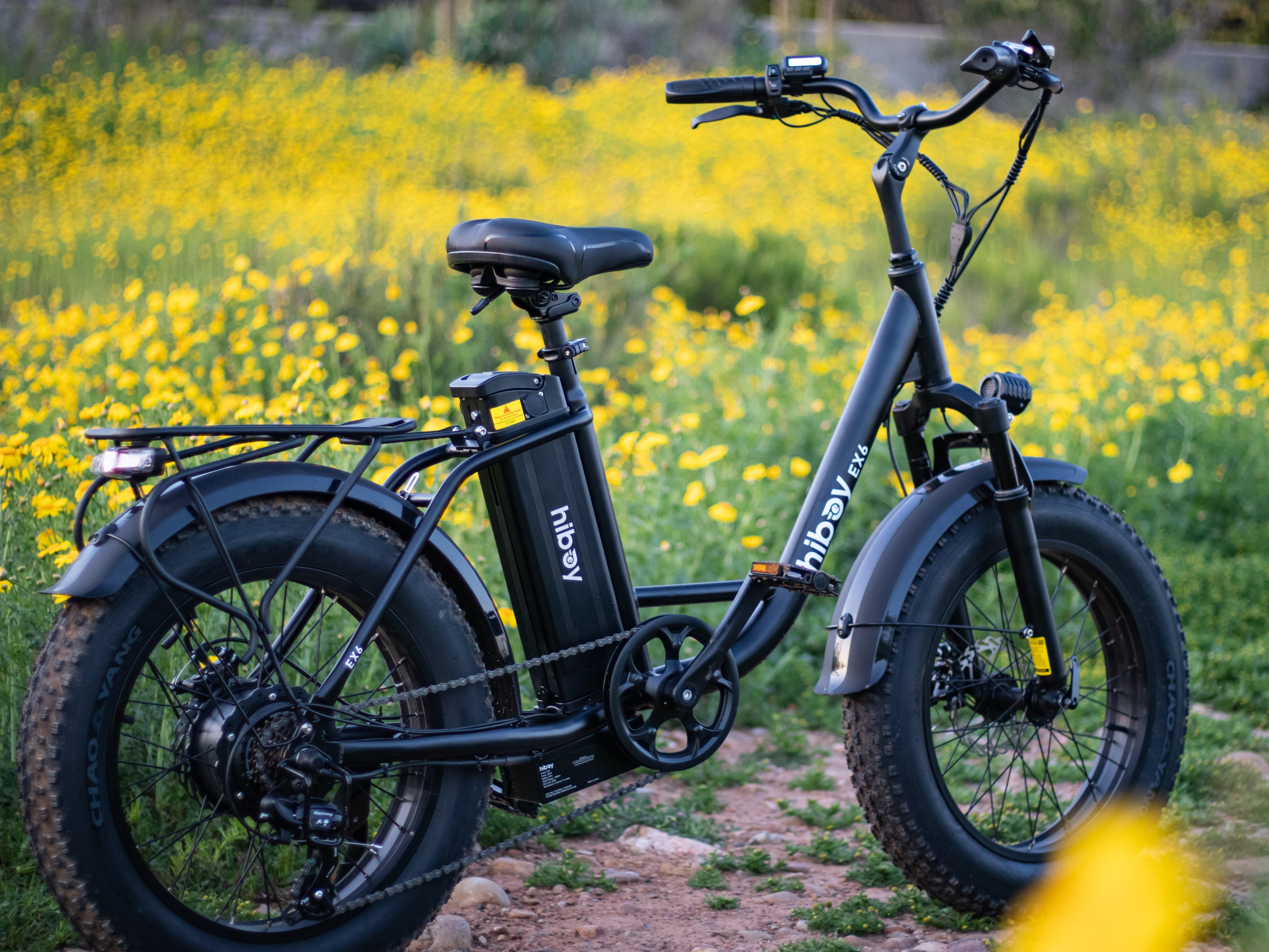 Ride Longer, Ride Smarter: Electric Bike Maintenance Tips for Canada’s Climate