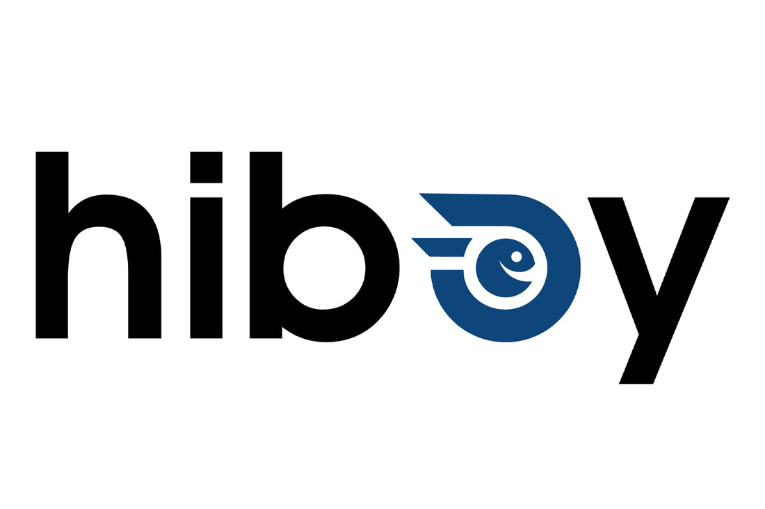 Hiboy Icon