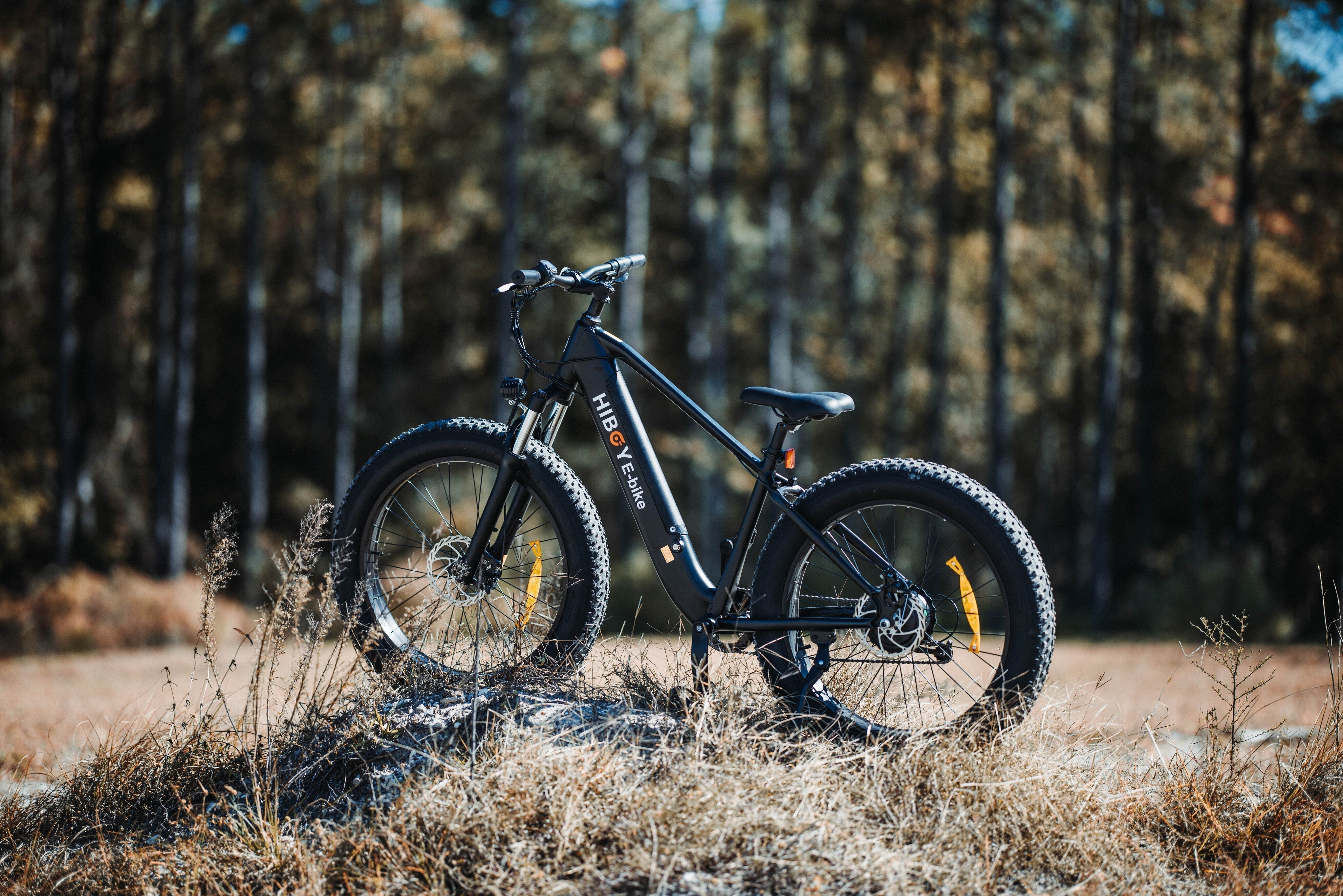 What’s the Best Electric Bike in Canada