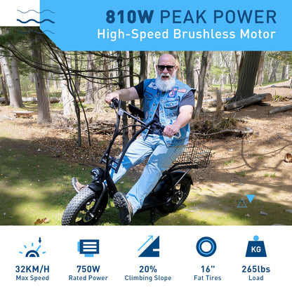 Hiboy U2 Pro 16" Fat Tire Electric Scooter with Seat