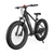 Hiboy P6 Fat Tire Electric Bike for Urban Country Road
